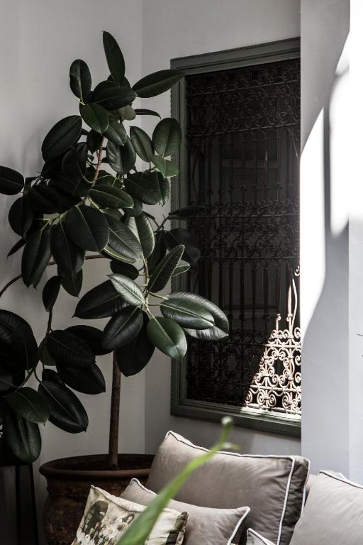 Fotografie z fotogalerie ubytování Riad Danka v Marrákéši