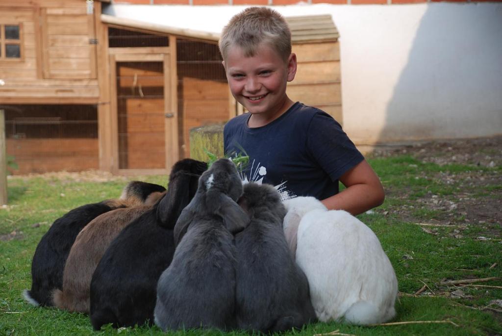 Zvířata v kempu nebo okolí