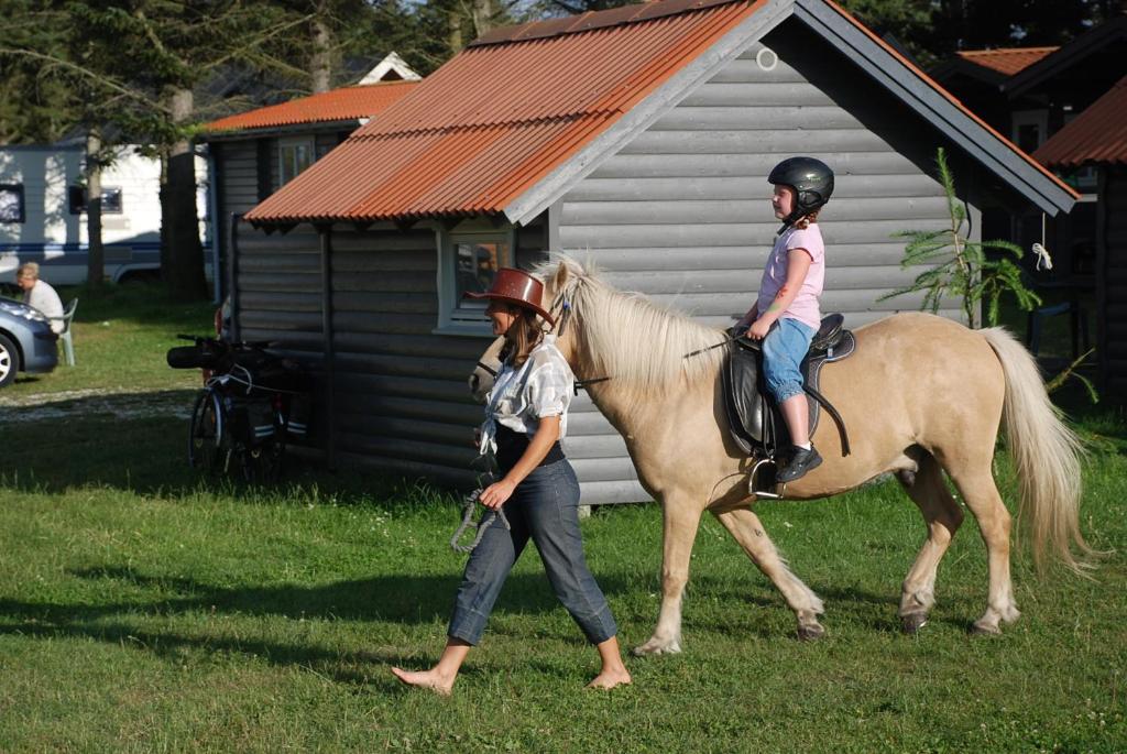 Hosté ubytování Hytteby – Hanstholm Camping – Thy Feriepark