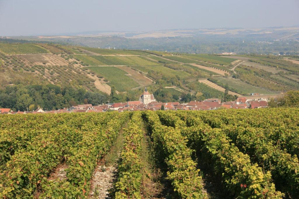 an aerial view of a vineyard with a farm in the background at Villa Rose in Escolives-Sainte-Camille