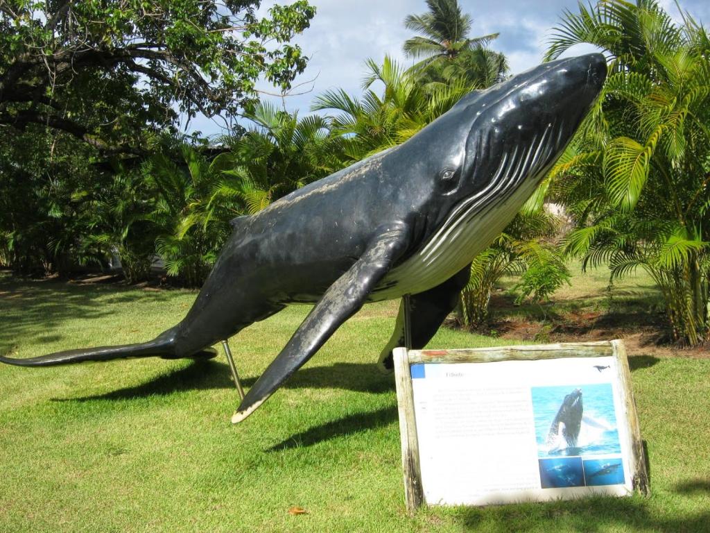  Praia do Forte Apt.