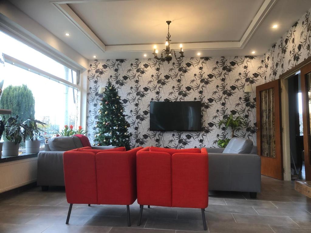 Mimosa Hotel - Resim 5