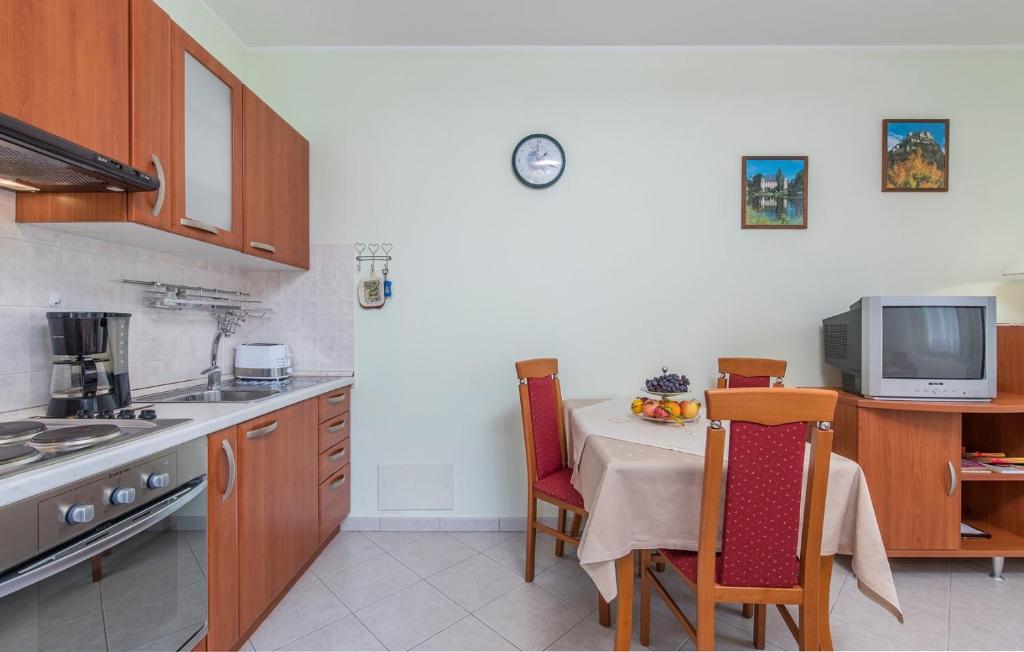 Kuchyň nebo kuchyňský kout v ubytování Apartment Complex Silvia