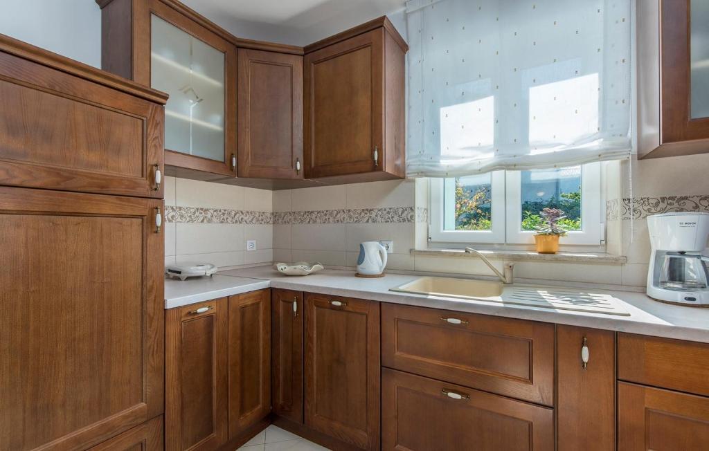 Kuchyň nebo kuchyňský kout v ubytování Apartment Complex Silvia