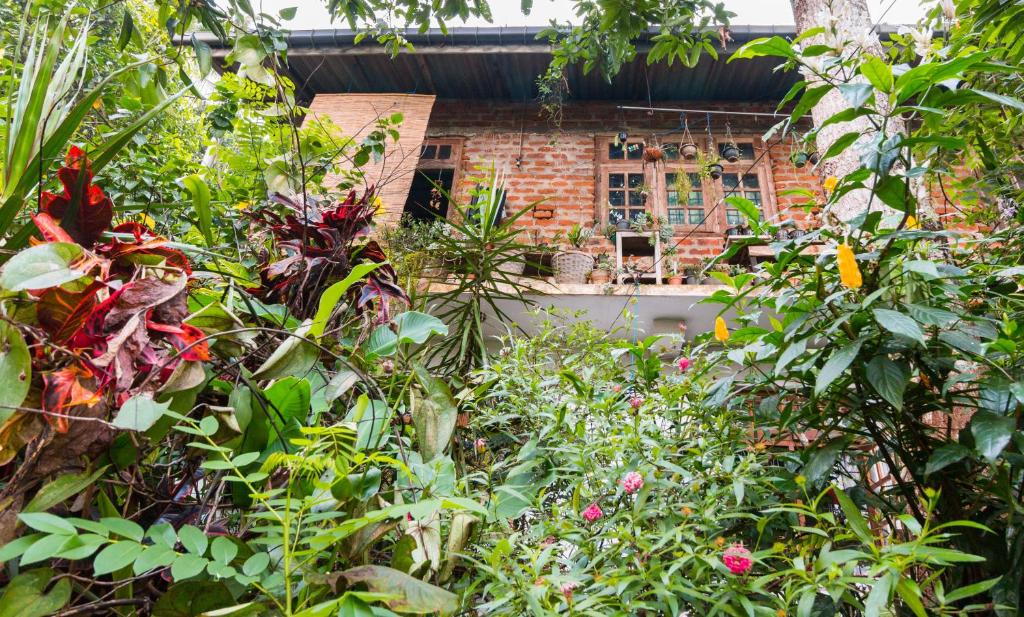 Zahrada ubytování Amma's Homestay