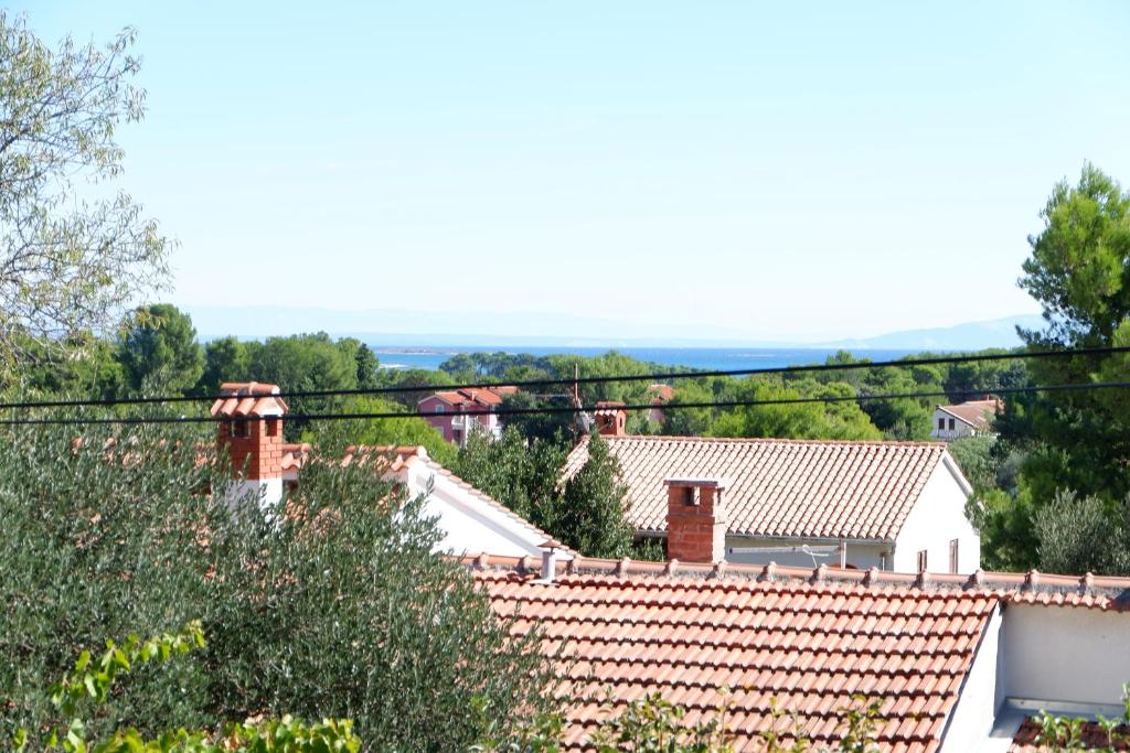 Příroda nedaleko apartmánu