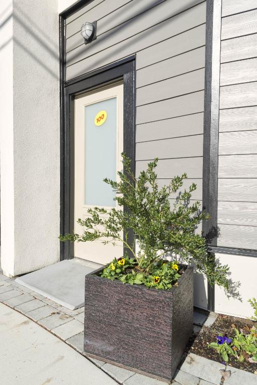 SoLo Suites - Resim 22