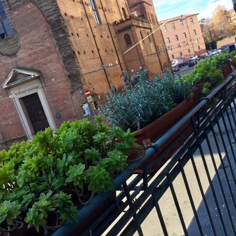 Vonkajšia záhrada v ubytovaní Residenza Riva Reno - BOLOGNA