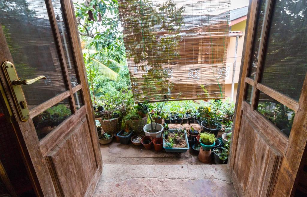 Zahrada ubytování Amma's Homestay