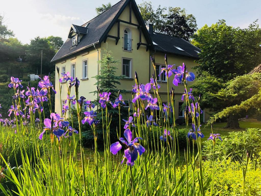 una casa amarilla con flores púrpuras delante de ella en Ferienwohnungen Siebenlehn am Romanus Freibad, en Siebenlehn