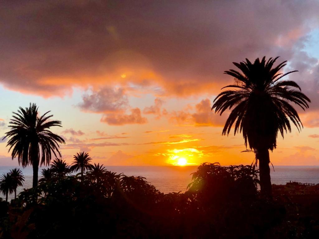 a sunset with palm trees in front of the ocean at Casa Katharina - Valle Gran Rey in Calera