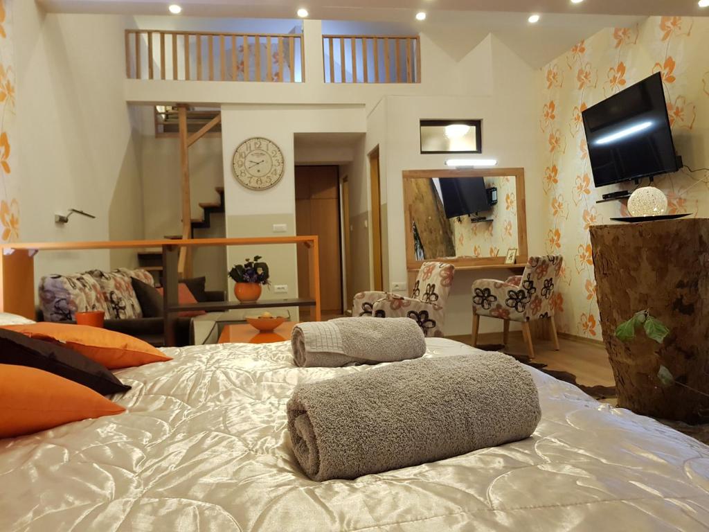 TV a/nebo společenská místnost v ubytování Pansion River