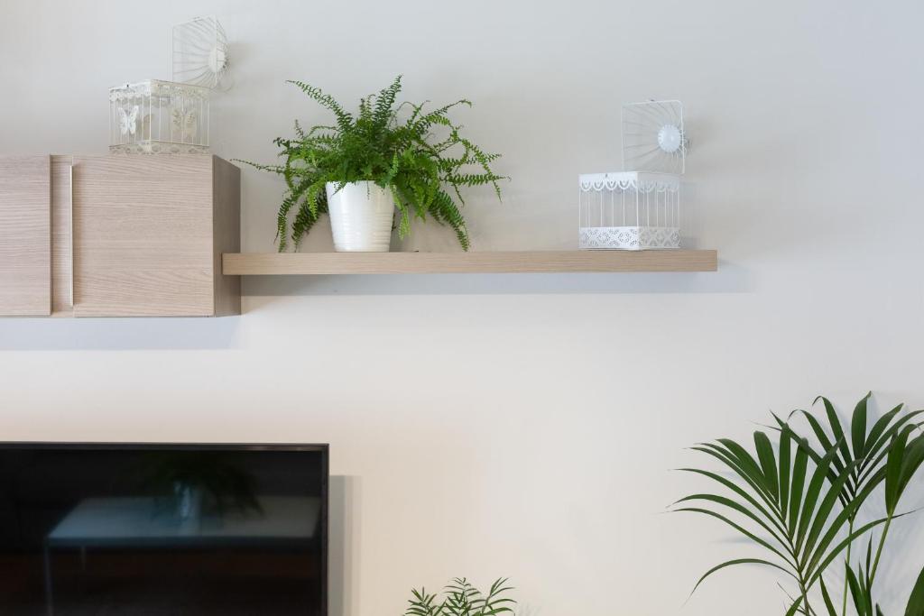 Apartamentos Circulo De Artistas - 11