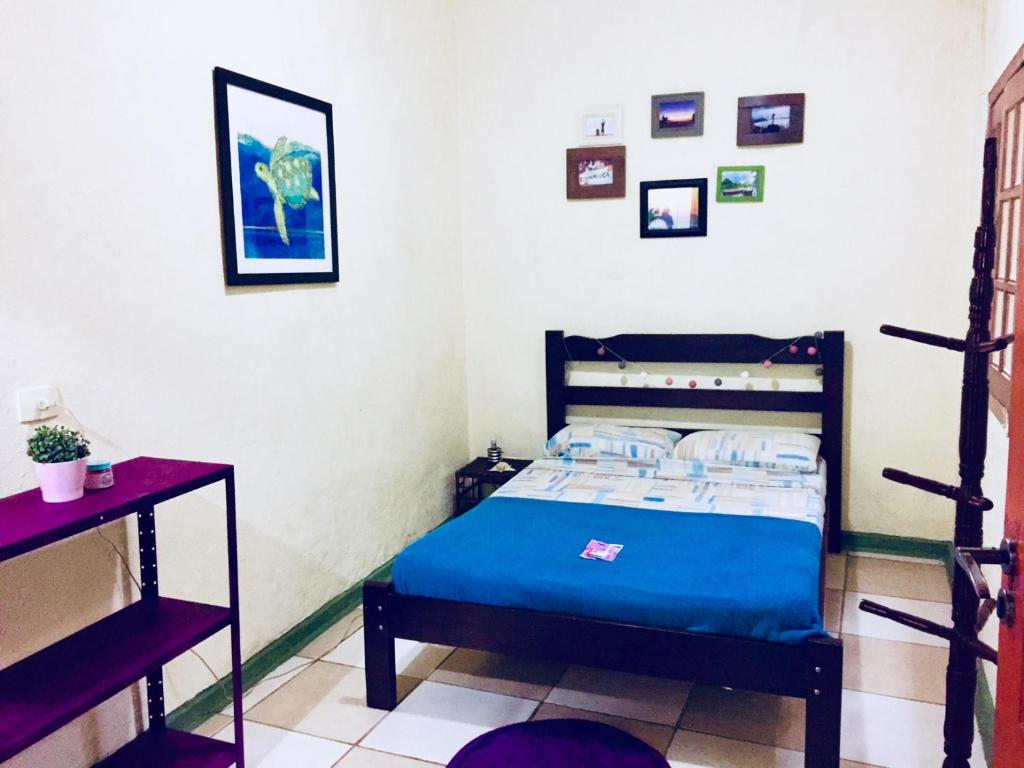  Bamboo Groove Hostel