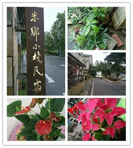 Fotografie z fotogalerie ubytování Mi Xiang Homestay v destinaci Chishang