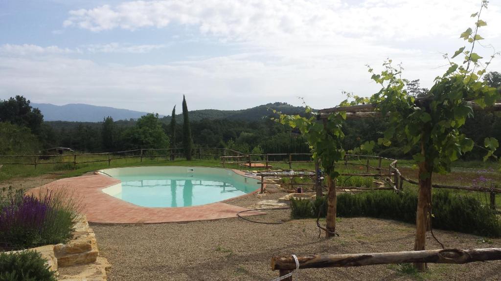 a swimming pool in the middle of a garden at Agricampeggio Madonna di Pogi in Bucine