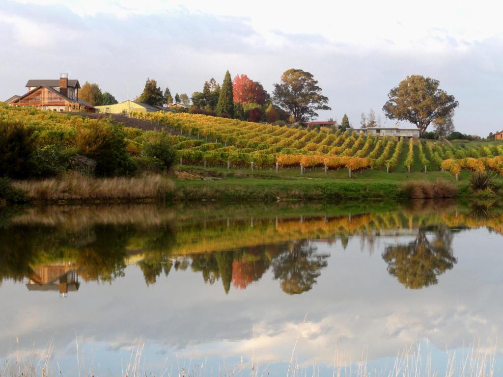 a vineyard reflected in the water of a river at Pine Hill Lodge In Vineyard in Mapua