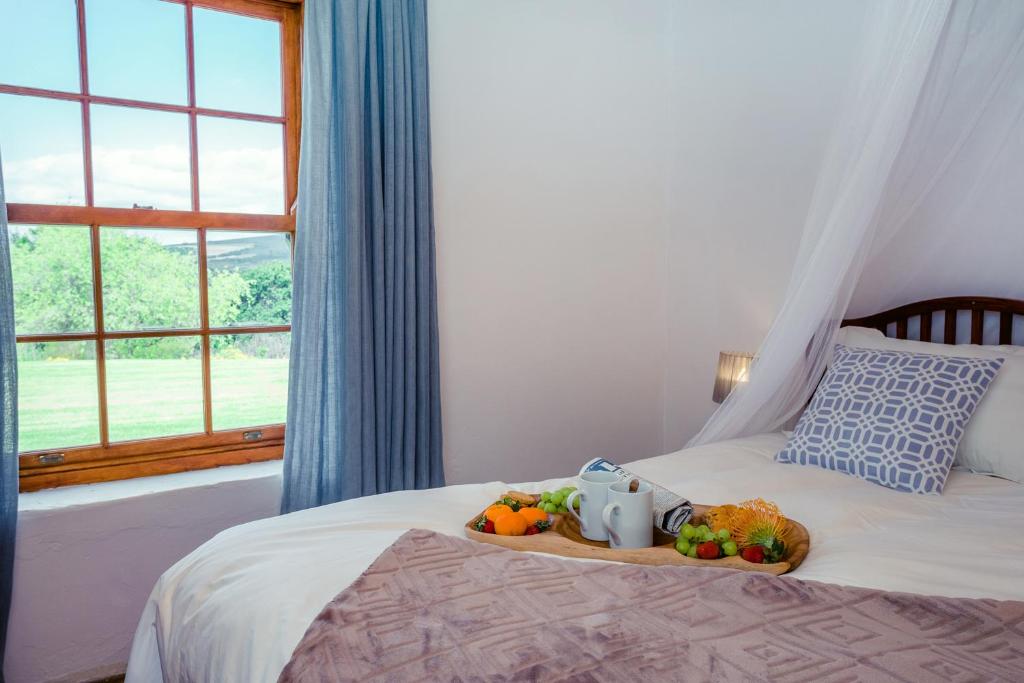 Gallery image of Goedvertrou Guest Farm in Papiesvlei