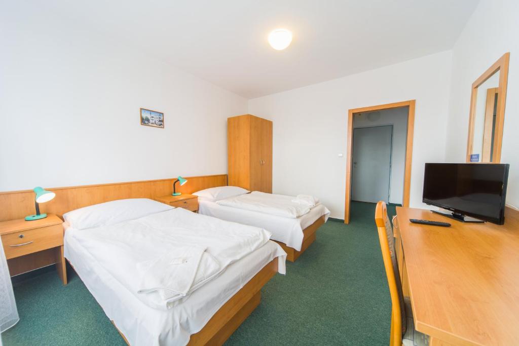 Televízia a/alebo spoločenská miestnosť v ubytovaní Hotel Arnost Garni