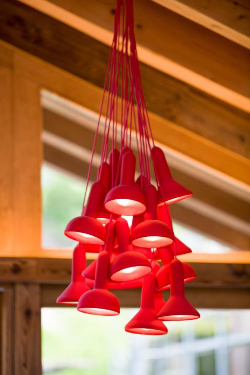 Le Grimpeur, Mer de Glace Spa Access, 50m from ski lift - Resim 12