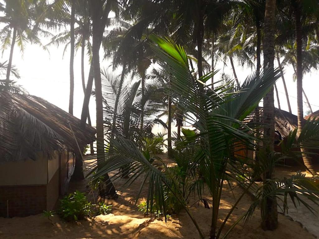 Zahrada ubytování Blue Lagoon Resort Goa