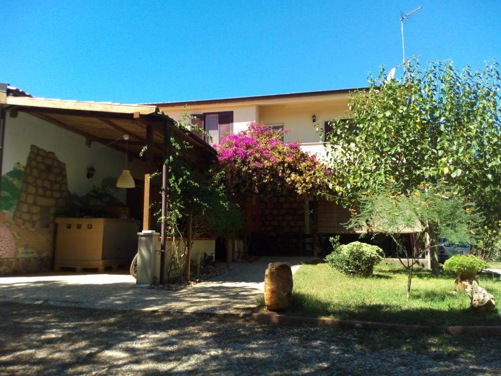 a house with a yard with a tree at B&B Las Piccas in Santa Maria la Palma
