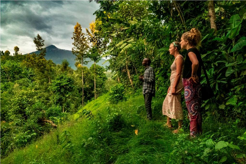 two people walking through a grassy area with trees at Banana Farm Eco Hostel in Arusha
