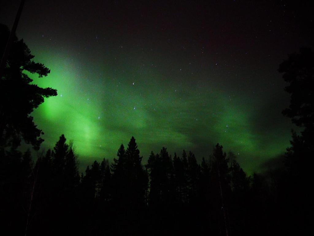 Fotografie z fotogalerie ubytování Vildmarks Lodge v destinaci Ytterhogdal