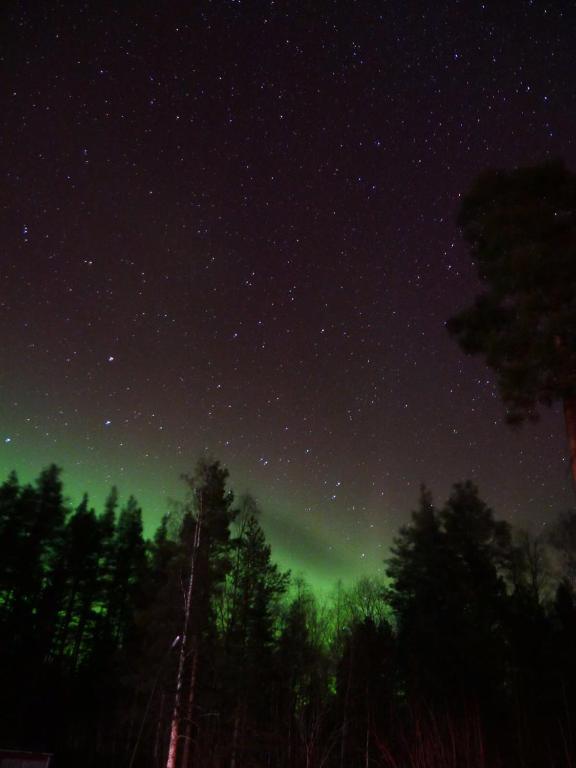 Fotografie z fotogalerie ubytování Vildmarks Lodge v destinaci Ytterhogdal