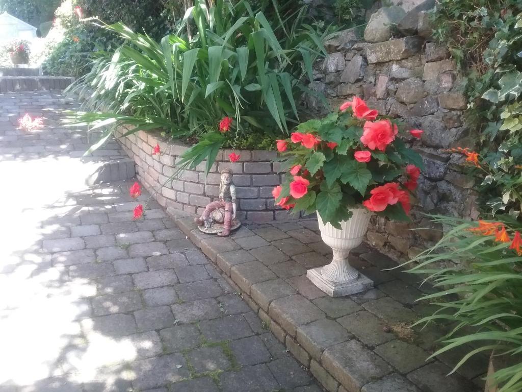 Giardino di Ashleigh House Bed & Breakfast