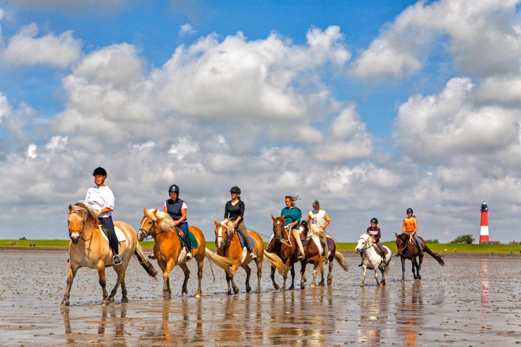 a group of people riding horses on the beach at Gud Jard Lodge Nr 32 - Design-Ferienhaus mit exklusiver Ausstattung in Pellworm