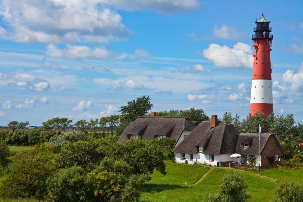 Příroda nedaleko prázdninového domu