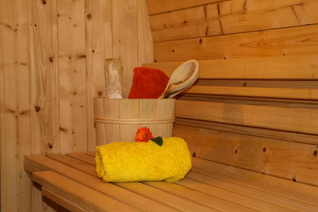 Balancehaus Kohren-Sahlis, dein Kurhaus in Sachsen - Twin Room With Shower