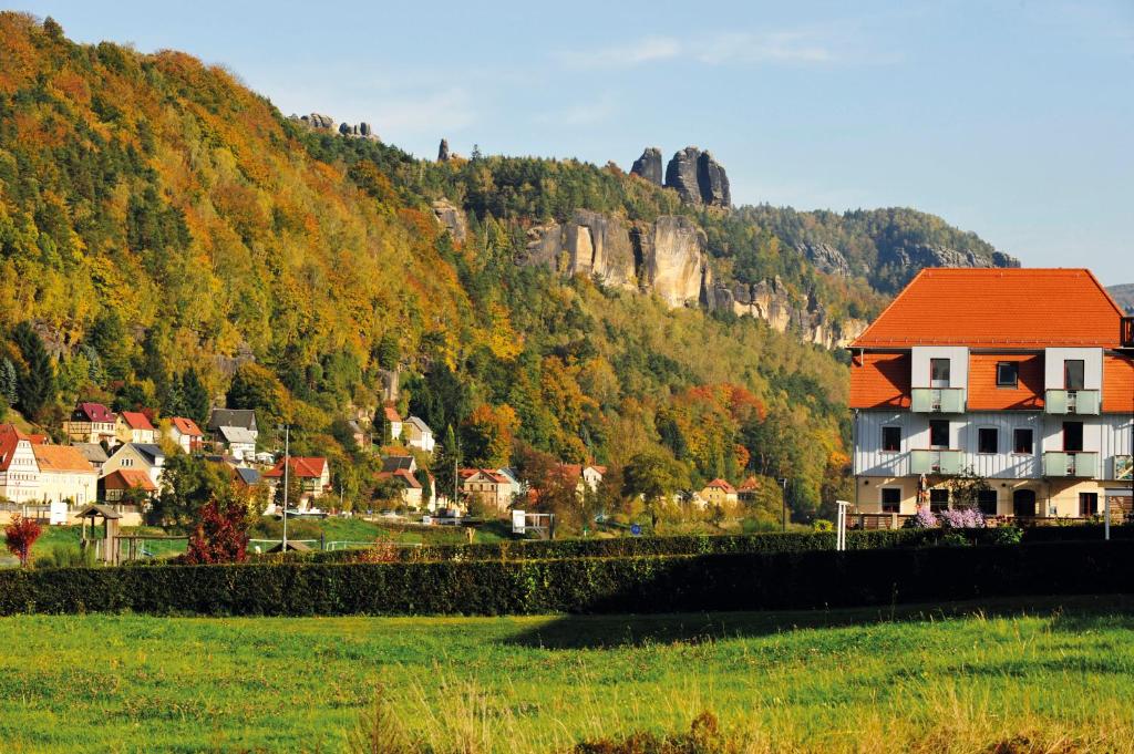 een huis met een rood dak op een berg bij Fährmannhaus in Bad Schandau