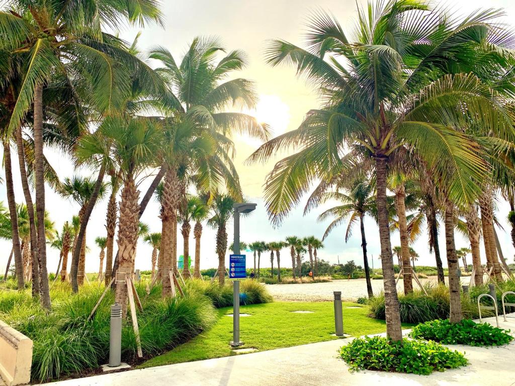 Broadmore Miami Beach - 