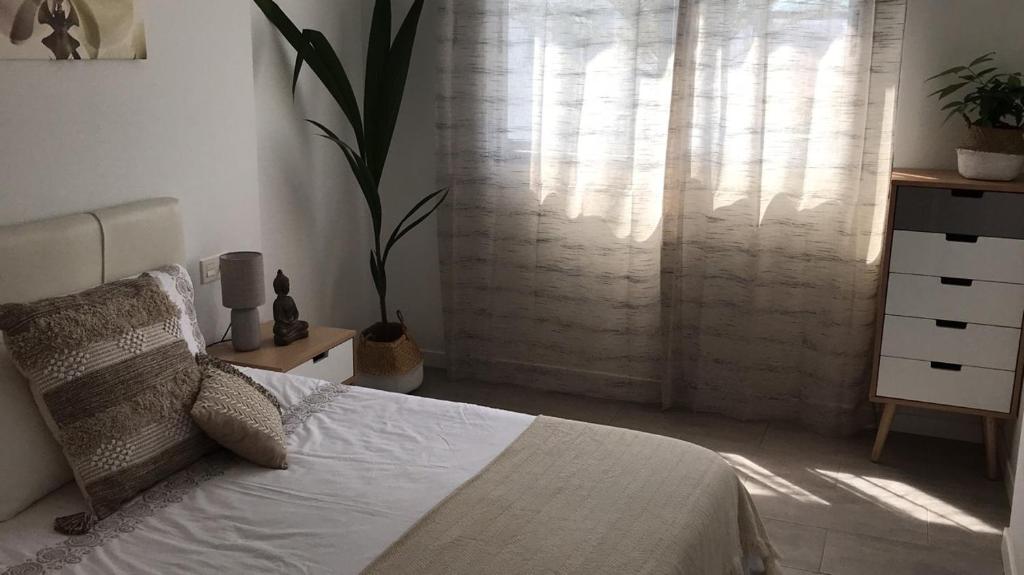 コラレホにあるApartamento Bristol Beachのベッドルーム1室(ベッド1台付)、植物のある窓が備わります。