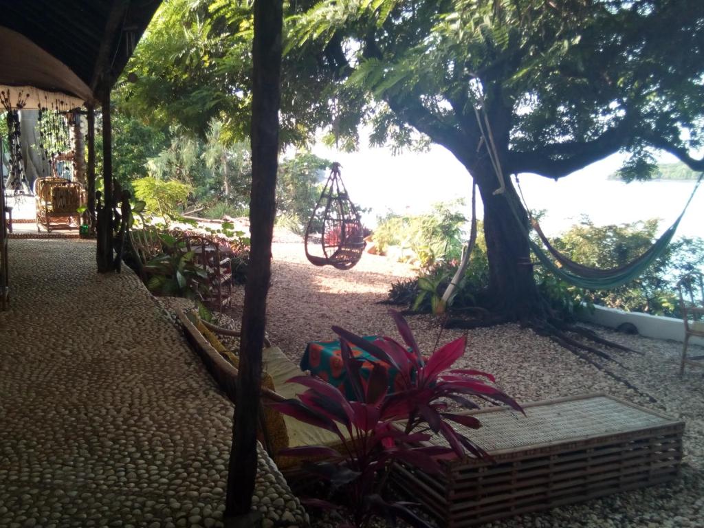 un columpio colgando de un árbol en un jardín en Saldomar B&Biosphere en Bubaque