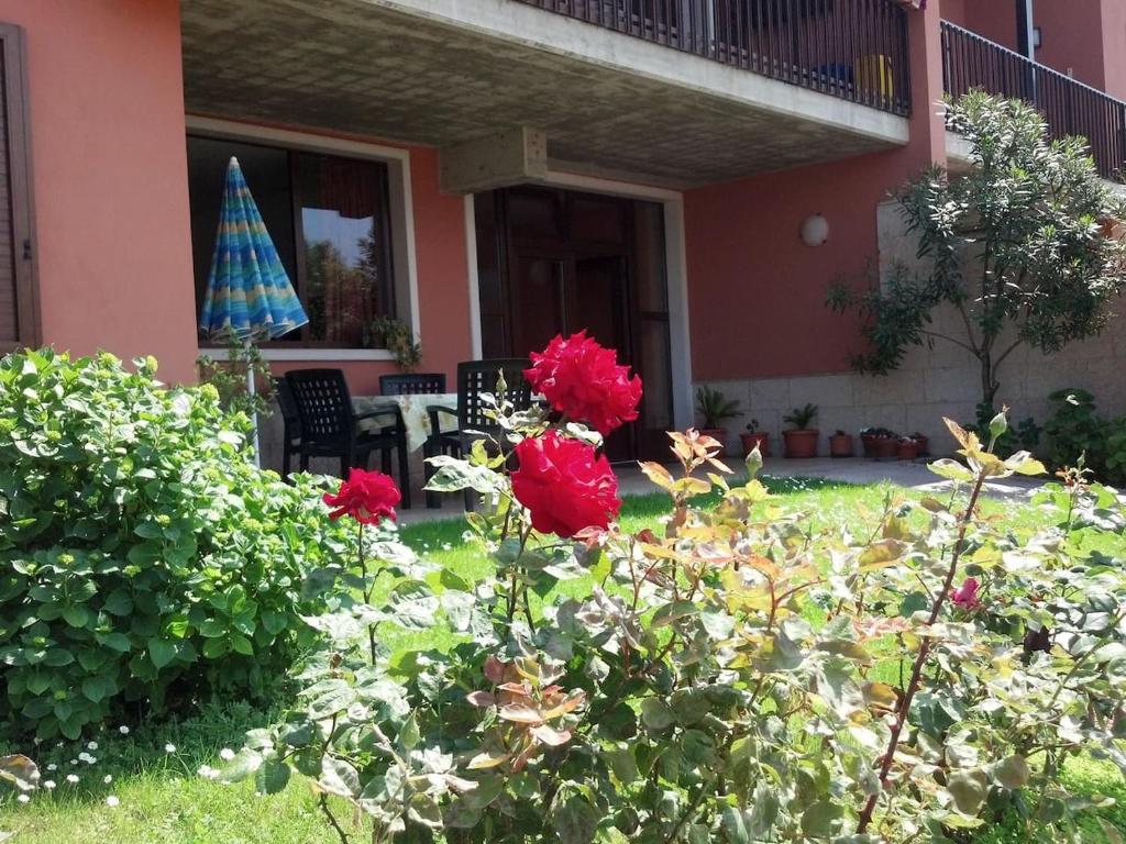 a garden with red roses and a house at Appartamento Morena in Malcesine