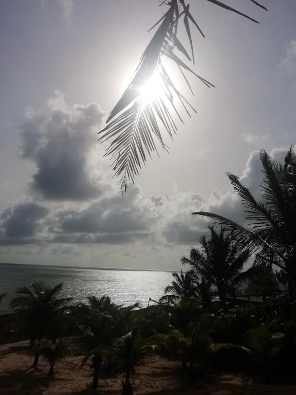  Meu Paraíso. Pipa