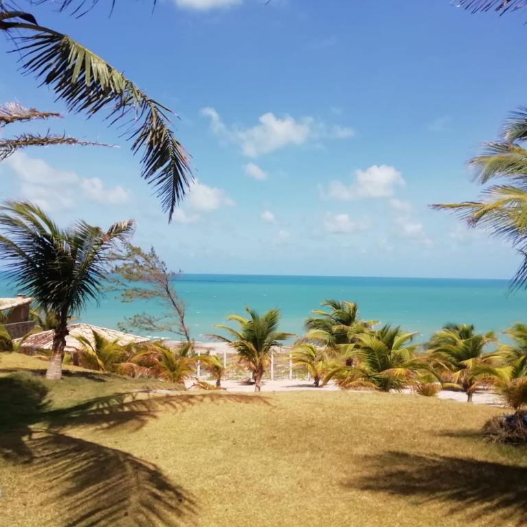  Meu Paraíso. Pipa
