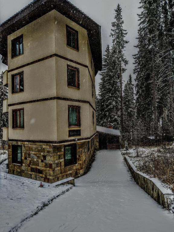 Evrika Forest - Housity