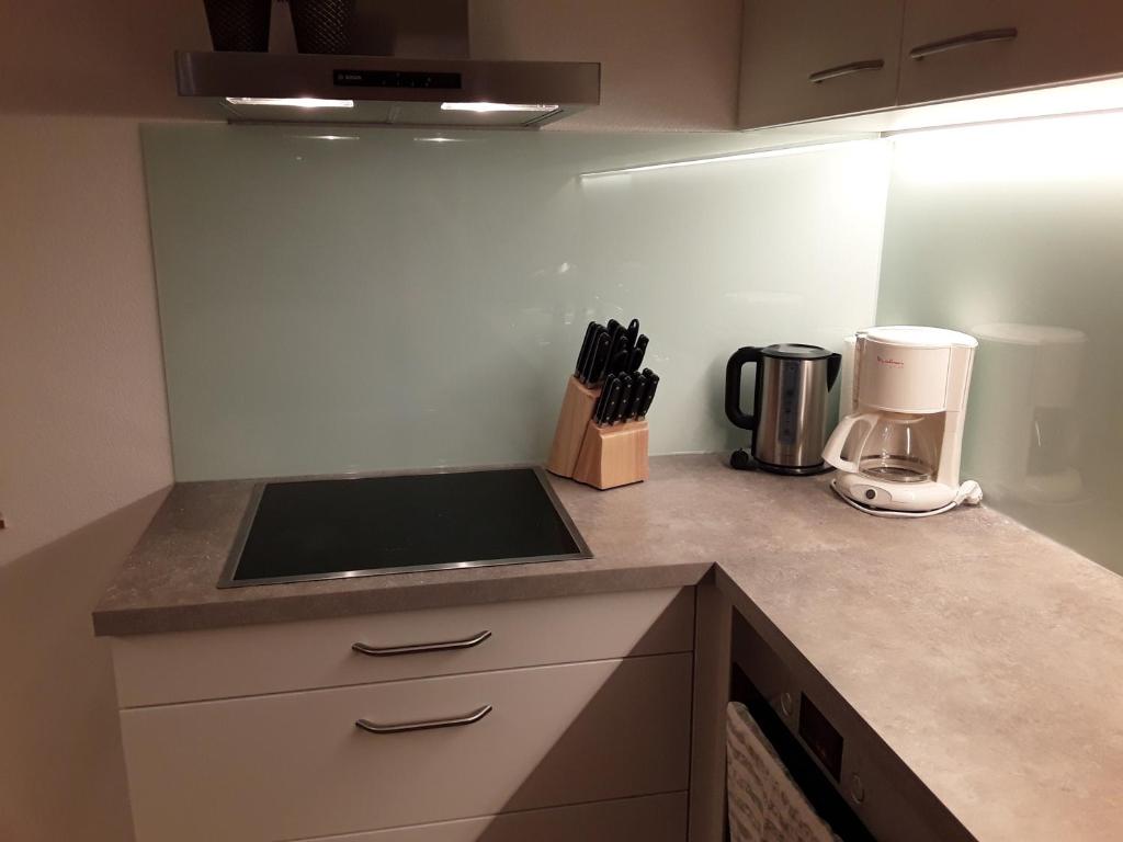 Kuchyň nebo kuchyňský kout v ubytování Appartment Hirschberg
