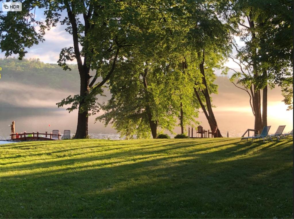Lake Luzerne的住宿－The Elms Waterfront Cottages，树木繁茂的公园和水草区