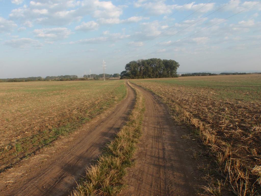 Příroda nedaleko penzionu