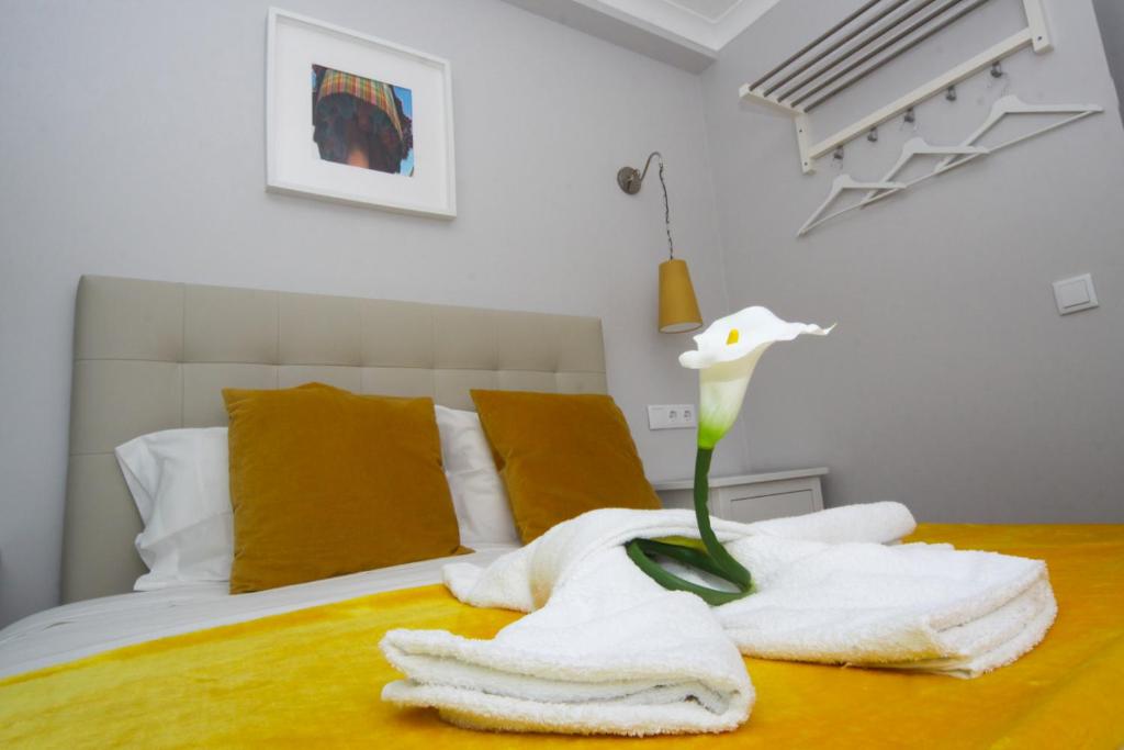 Ferhouse Dreams Pátria - 7