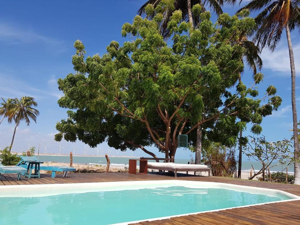  Maui do Brasil