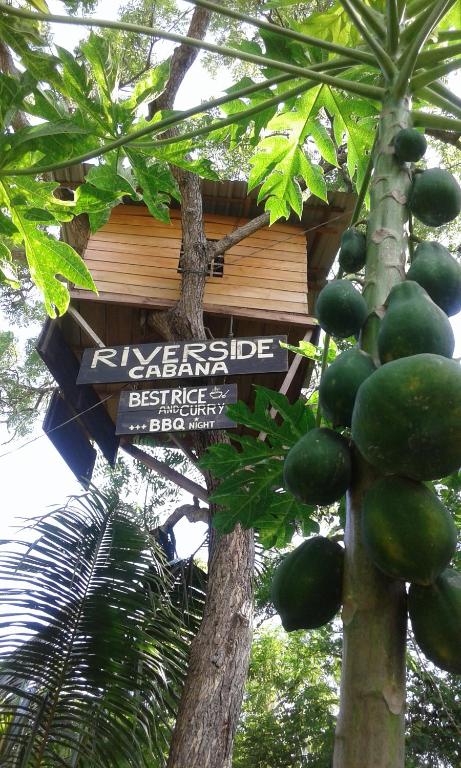 a sign on a tree with a bunch of fruit at River Side Cabana in Tissamaharama