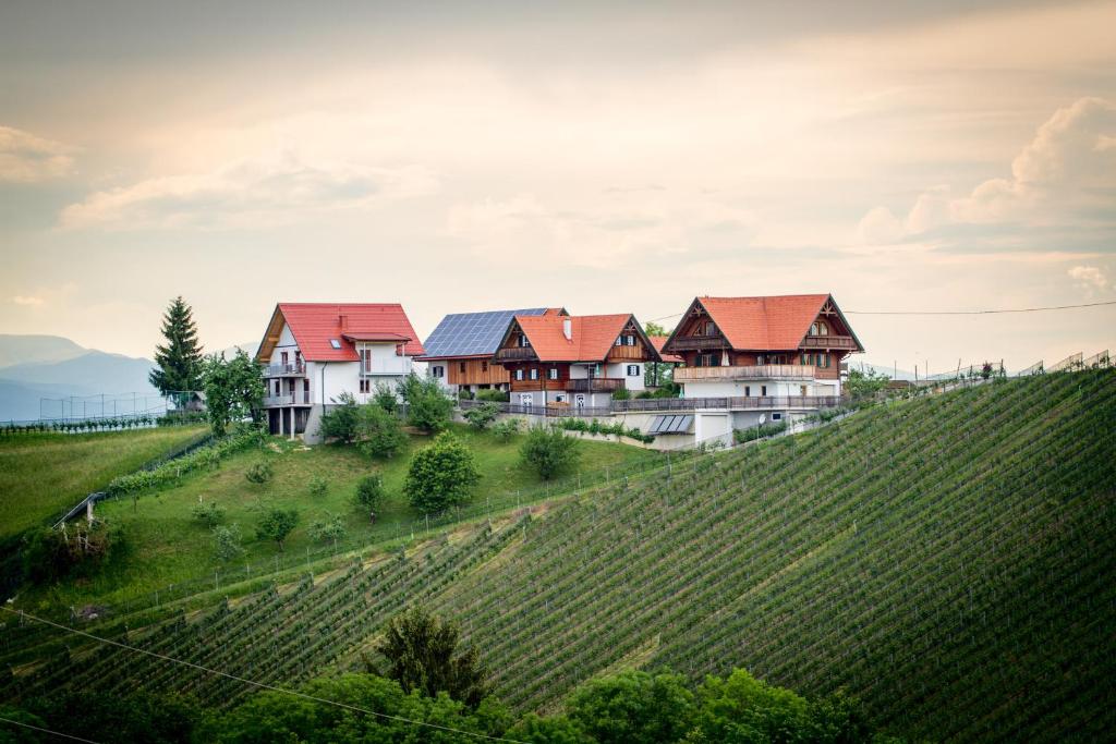 a house on a hill next to a vineyard at Ferienwohnung Traumaussicht in Leutschach