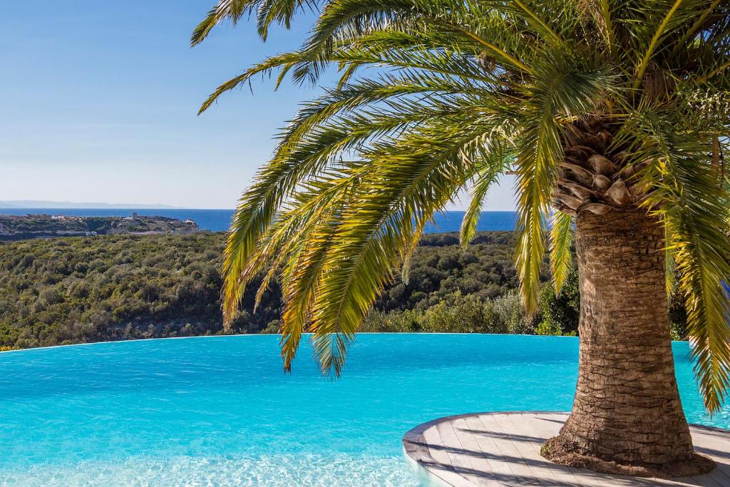 uma palmeira sentada ao lado de uma piscina em Résidence Terra Marina em Bonifacio