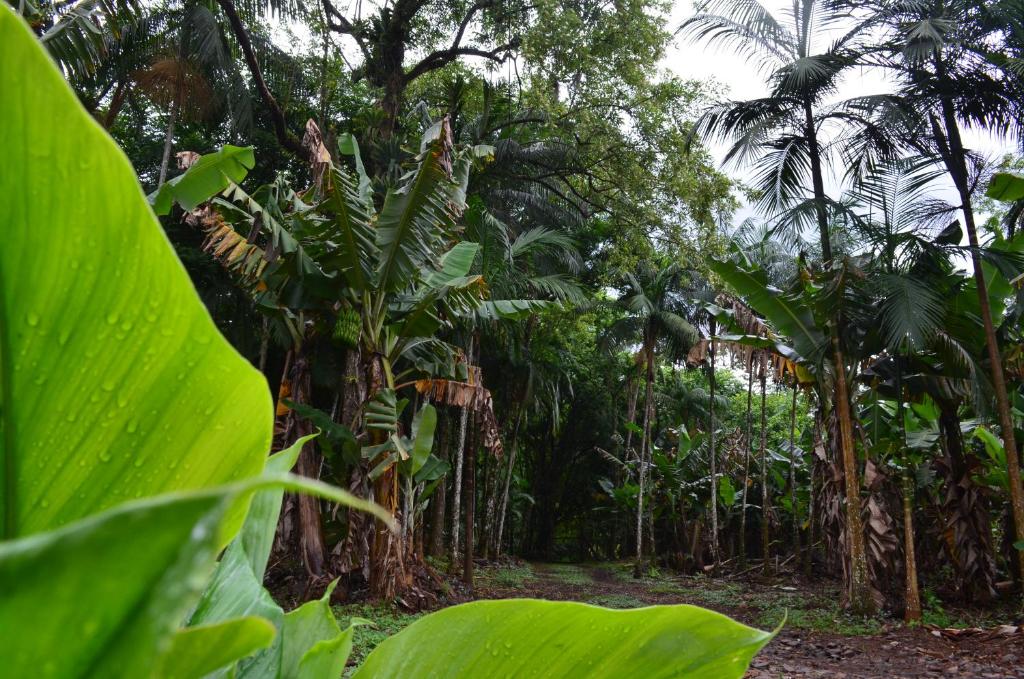  Hospedagem Natureza